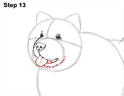 How to Draw Cute Chow Chow Puppy Dog 13