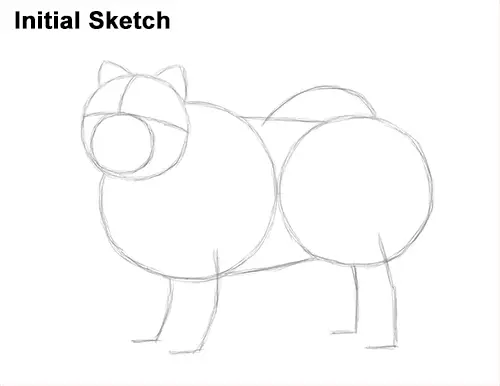 How to Draw Cute Chow Chow Puppy Dog Initial Guides