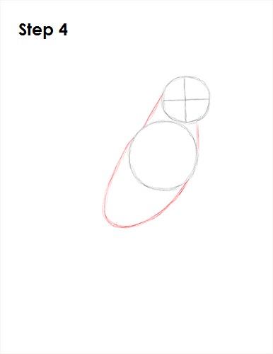 Draw a Cockatiel 4