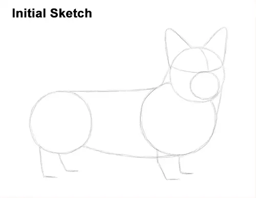 Draw Welsh Corgi Dog Initial Sketch