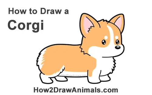 How to Draw Cute Cartoon Corgi Puppy Dog Chibi Kawaii