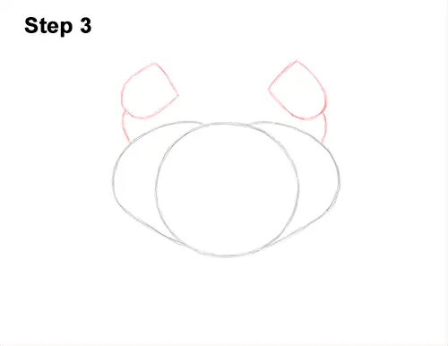 How to Draw a Brown Edible Red Crab 3