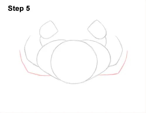 How to Draw a Brown Edible Red Crab 5