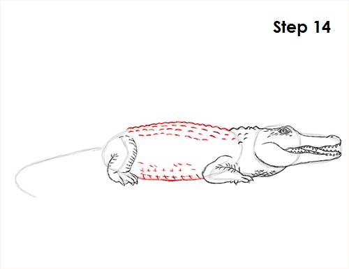 Крокодил нарисовать легко поэтапно