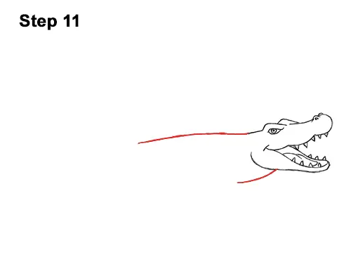 How To Draw A Crocodile   Alligator (cartoon)