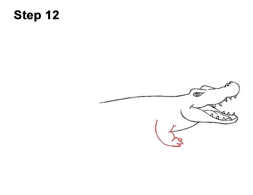 How to Draw a Crocodile / Alligator (Cartoon)