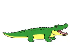 How to Draw a Crocodile Alligator Cartoon