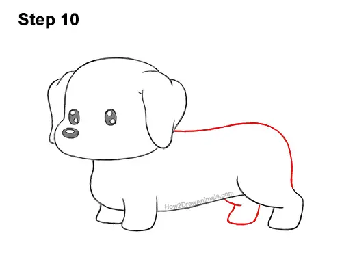 How to Draw a Cute Cartoon Dachshund Wiener Puppy Dog Chibi Kawaii 10
