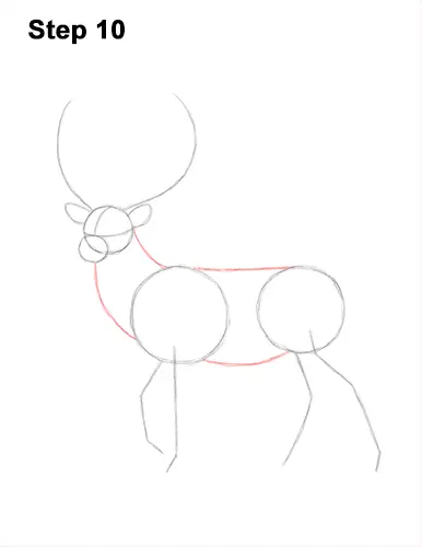 How to Draw a Red Deer Buck Stag Antlers 10