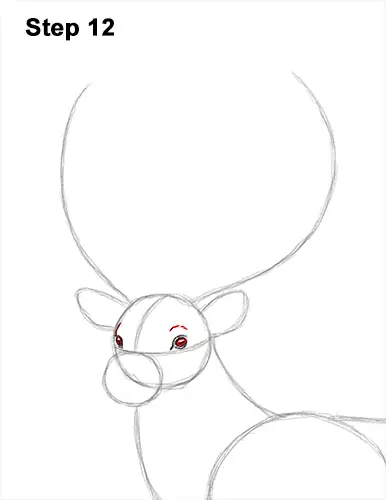 How to Draw a Red Deer Buck Stag Antlers 12