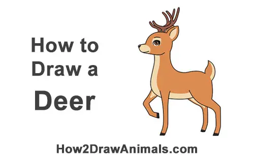 How To Draw A Deer Cartoon Video Step By Step Pictures