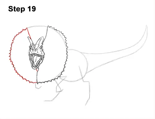 Draw Dinosaur Dilophosaurus 19