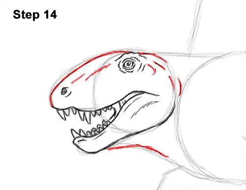 How to Draw a Dimetrodon VIDEO & Step-by-Step Pictures