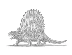 How to Draw a Dimetrodon Dinosaur