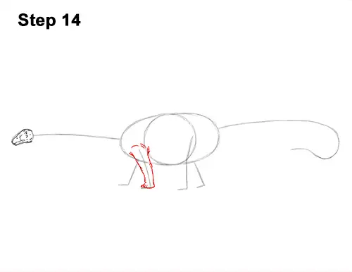 How to Draw Dinosaur Diplodocus Sauropod 14