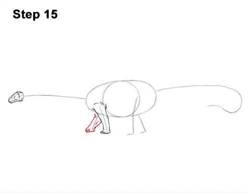How to Draw Dinosaur Diplodocus Sauropod 15