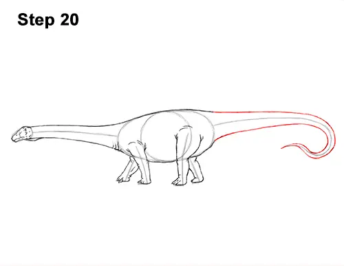 How to Draw Dinosaur Diplodocus Sauropod 20