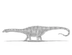 How to Draw a Diplodocus Dinosaur