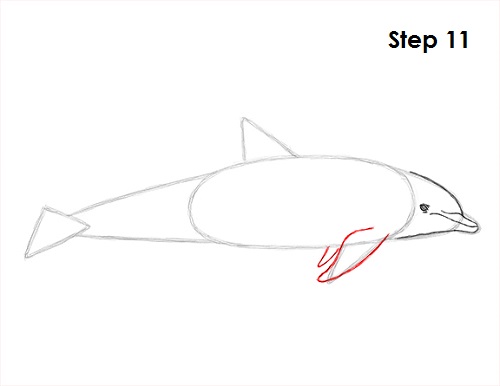 Draw Dolphin 11