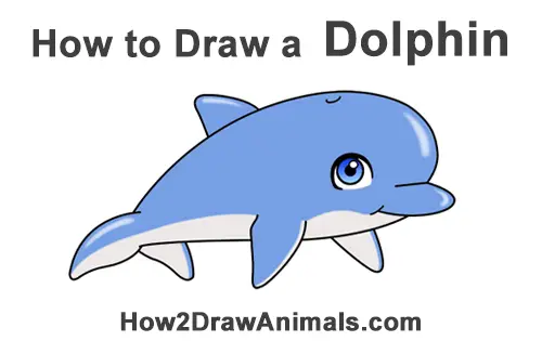 How To Draw A Cute Dolphin