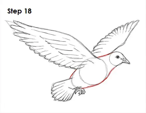 How to Draw a Dove 