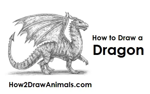 How to Draw a Dragon 