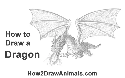 How to Draw a Dragon (Flying)