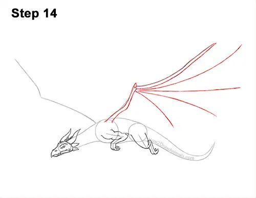 How to Draw a Dragon Flying Wings 14