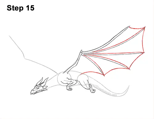 How to Draw a Dragon Flying Wings 15
