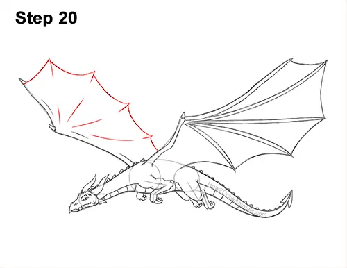 How to Draw a Dragon Flying Wings 20