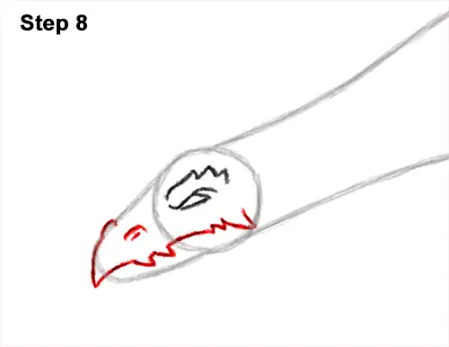 How to Draw a Dragon Flying Wings 8