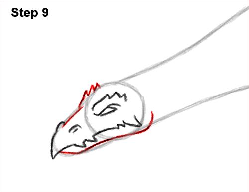 How to Draw a Dragon Flying Wings 9
