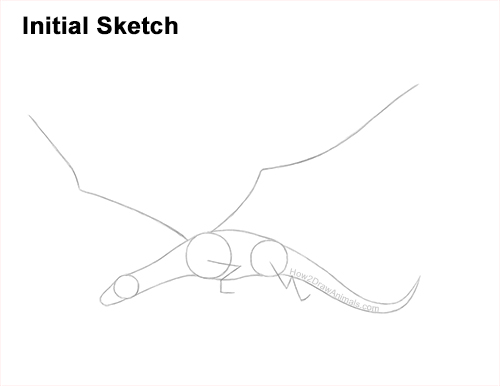 How to Draw a Dragon Flying Wings Guides Lines
