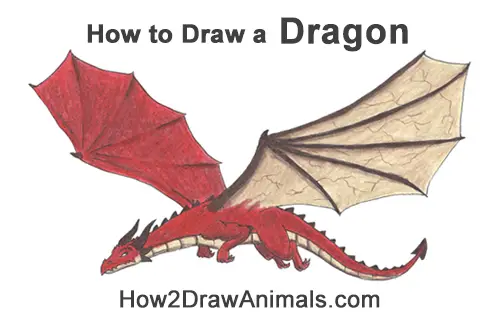 How to Draw a Dragon Flying Wings Color