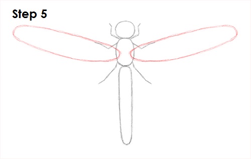 How To Draw A Dragonfly