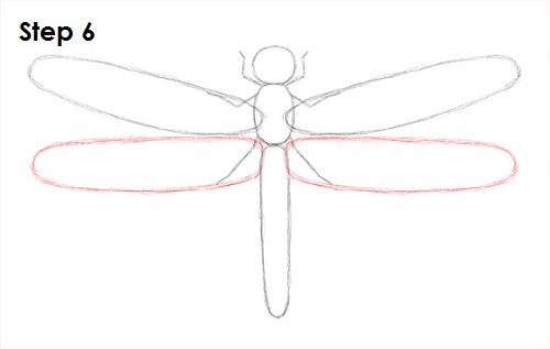 Draw Dragonfly 6