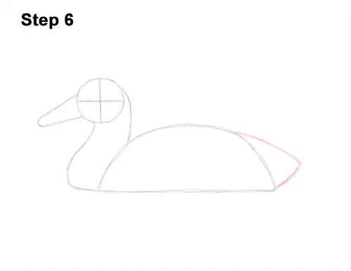 How to Draw a Mallard Duck (Color) VIDEO & Step-by-Step Pictures