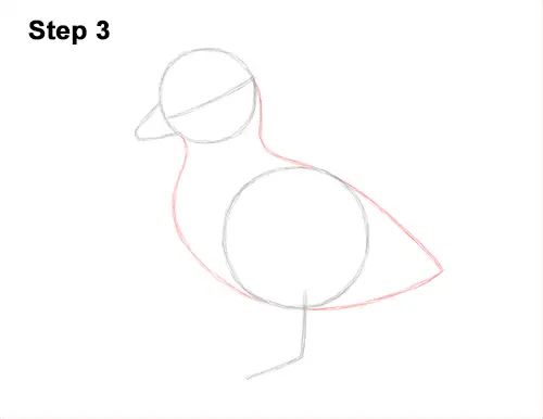 How to Draw a Baby Duck Duckling Bird 3