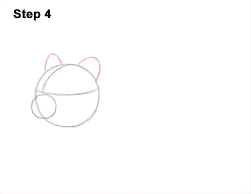 How to Draw a Russian Winter White Dwarf Hamster 4