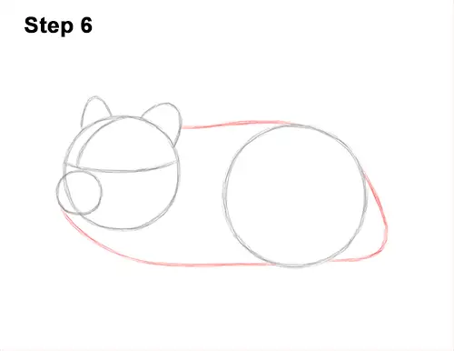 How to Draw a Russian Winter White Dwarf Hamster 6