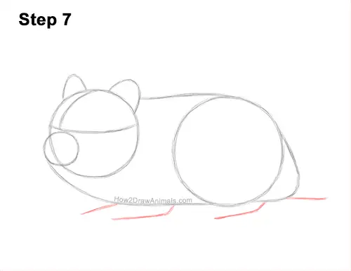 How to Draw a Russian Winter White Dwarf Hamster 7