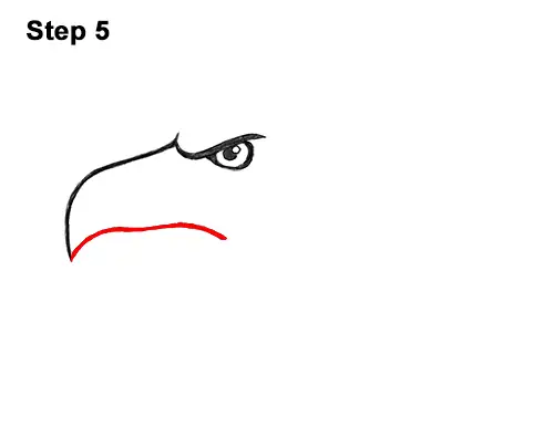 How to Draw Cool Cartoon Bald Eagle Head 5