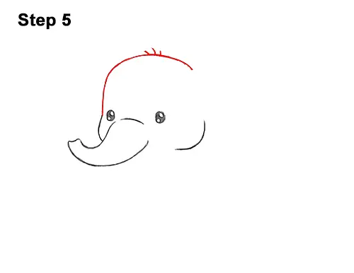 How To Draw A Elephant Cartoon Video Step By Step Pictures