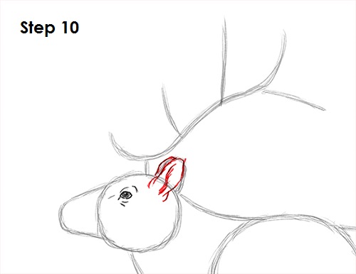 Draw Elk 10