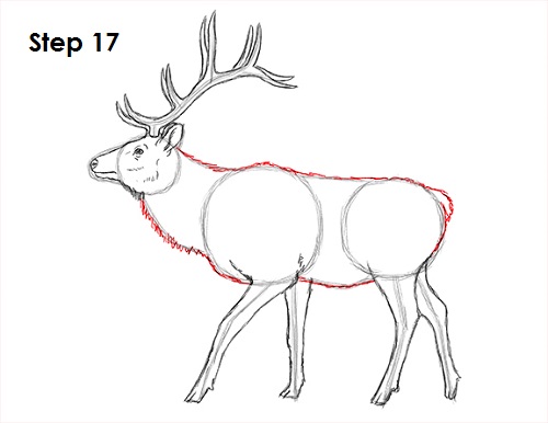 Draw Elk 17