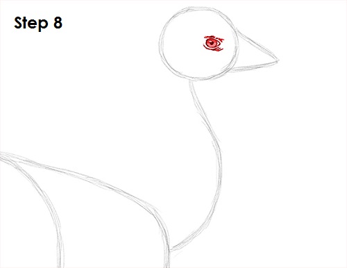 Draw Emu Bird 8
