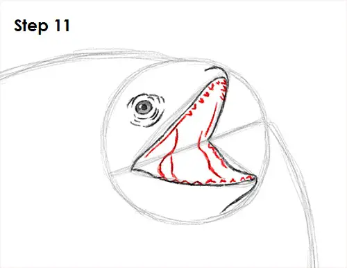 Draw Frilled Neck Lizard 11