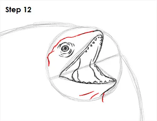 Draw Frilled Neck Lizard 12