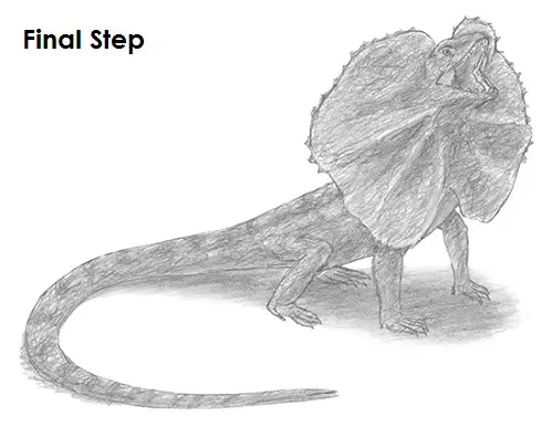 Draw Frilled Neck Lizard