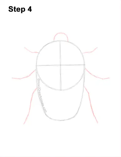 How to Draw a Figeater Fig Beetle June Bug 4